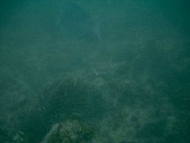 IMAG0014